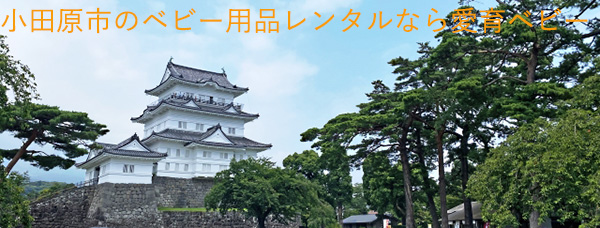 ���c���s�̃x�r�[�p�i�����^���Ȃ爤��x�r�[