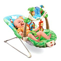 infant bouncer seat